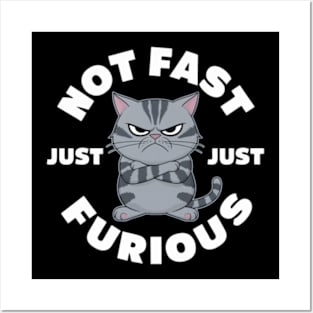 The image features a grumpy-looking cat with the text “NOT FAST JUST FURIOUS” surrounding it Posters and Art